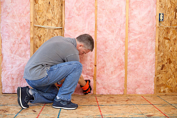 Insulation Air Sealing in Carmel, IN